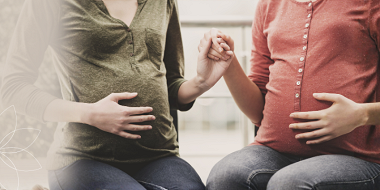 The Advocate I Wish I Had: Wildflower